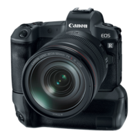 Canon EOS R Mirrorless DSLR Camera Price and Specification